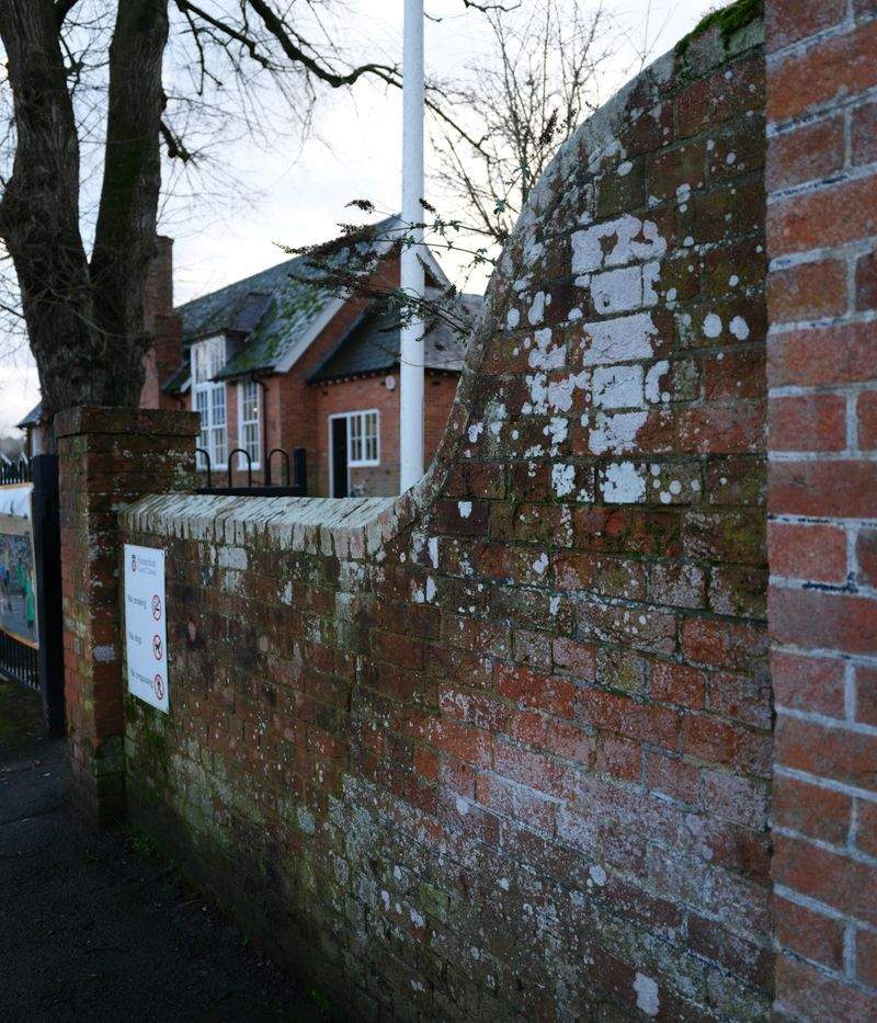 未来学園 - Image 8